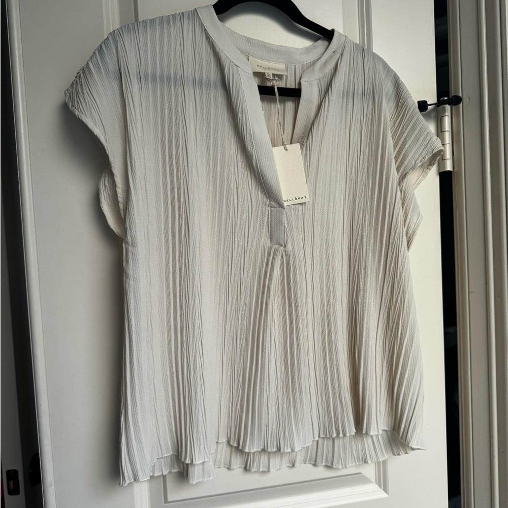 Melloday Elegant White Pleated Top and bottom set